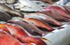 &rsquo;Chemical treated fish&rsquo; on sale, local scare goes viral